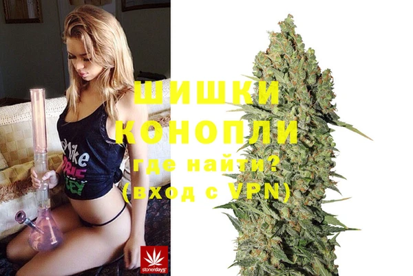 прущие грибы Краснослободск