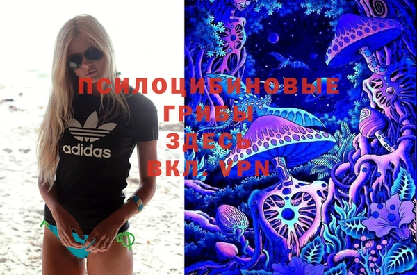 ALPHA PVP Краснотурьинск