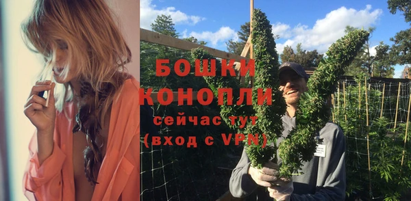 прущие грибы Краснослободск