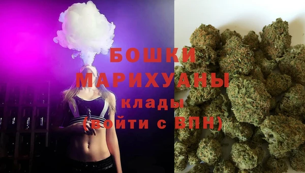 прущие грибы Краснослободск