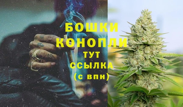 прущие грибы Краснослободск