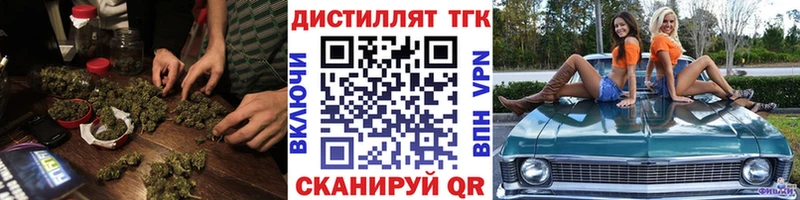 Купить закладки  Сасово  Дистиллят ТГК THC oil 