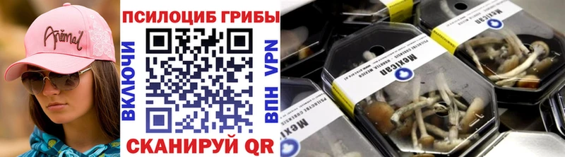 Галлюциногенные грибы Magic Shrooms  Купить  Сасово 