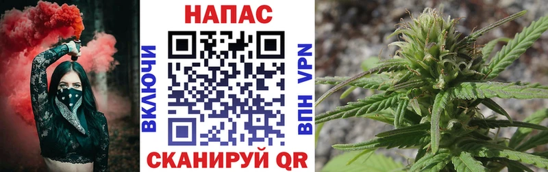 Конопля SATIVA & INDICA  Купить где  Сасово 